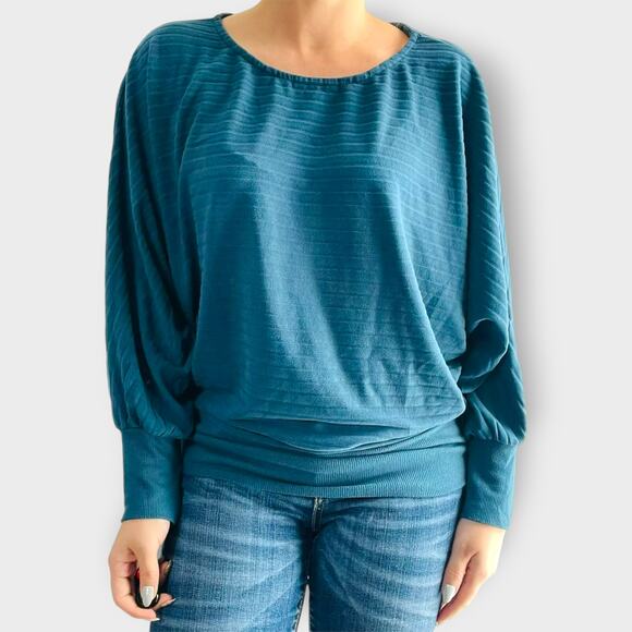 Saturday Sunday Shawna Hacci Velour Dolman Sleeve Sweater Blue Viscose Ribbed M - Picture 1 of 12